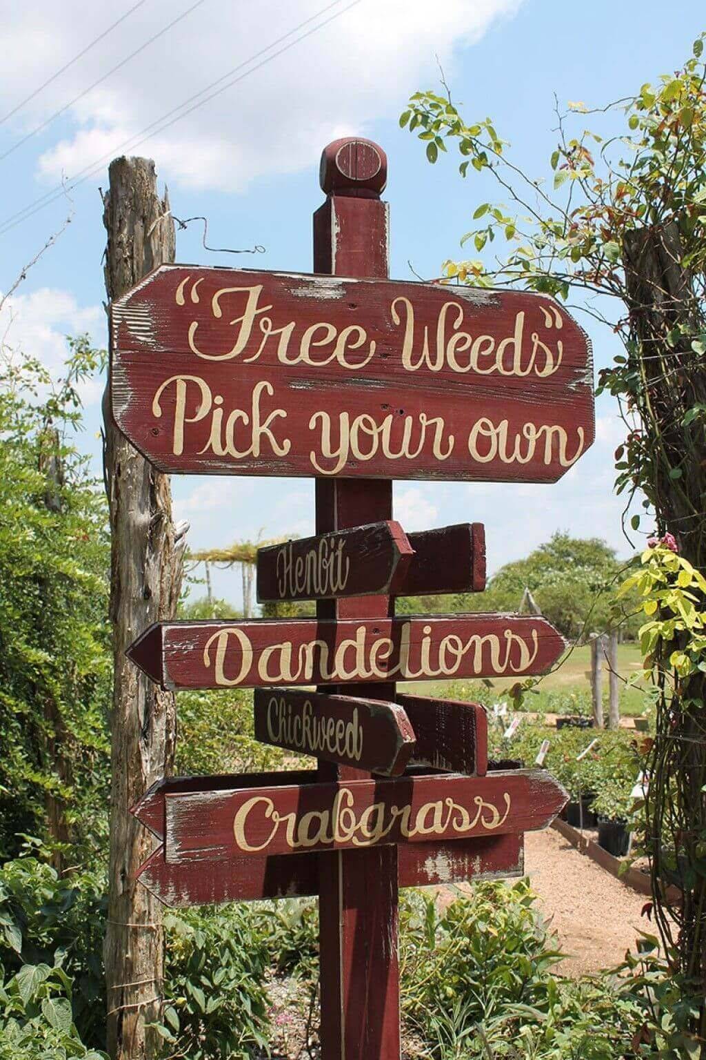 Creative Garden Sign Ideas