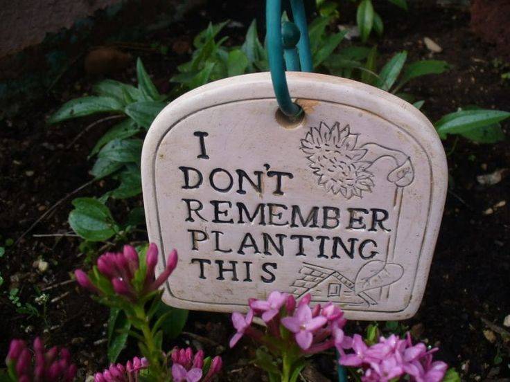 Creative Funny Garden Sign Ideas