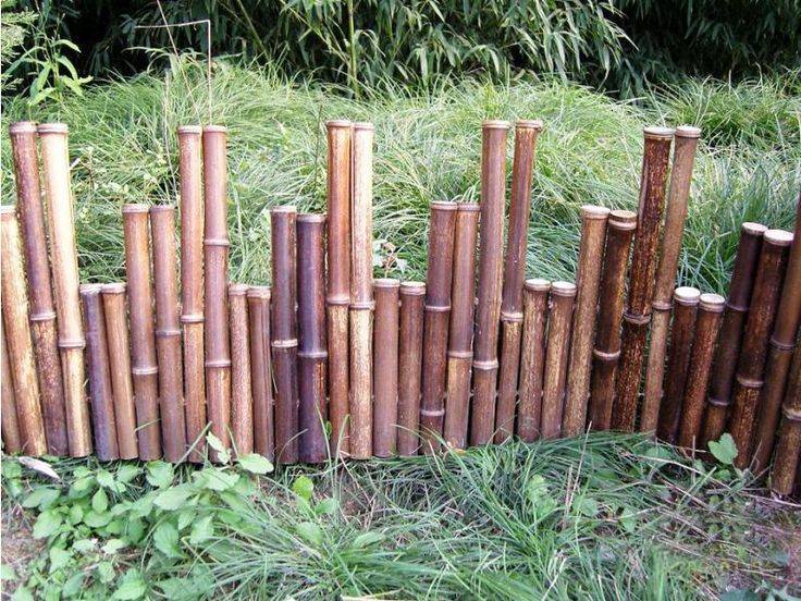24 Bamboo Garden Border Ideas You Should Look SharonSable