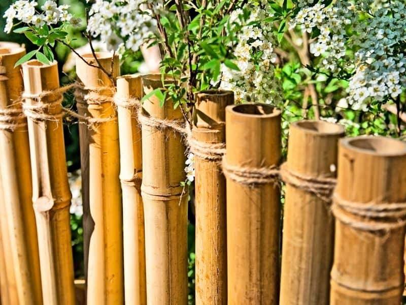 24 Bamboo Garden Border Ideas You Should Look SharonSable