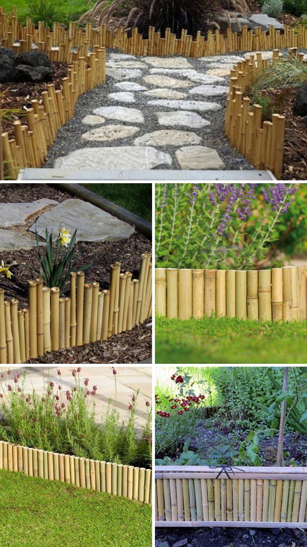 24 Bamboo Garden Border Ideas You Should Look SharonSable
