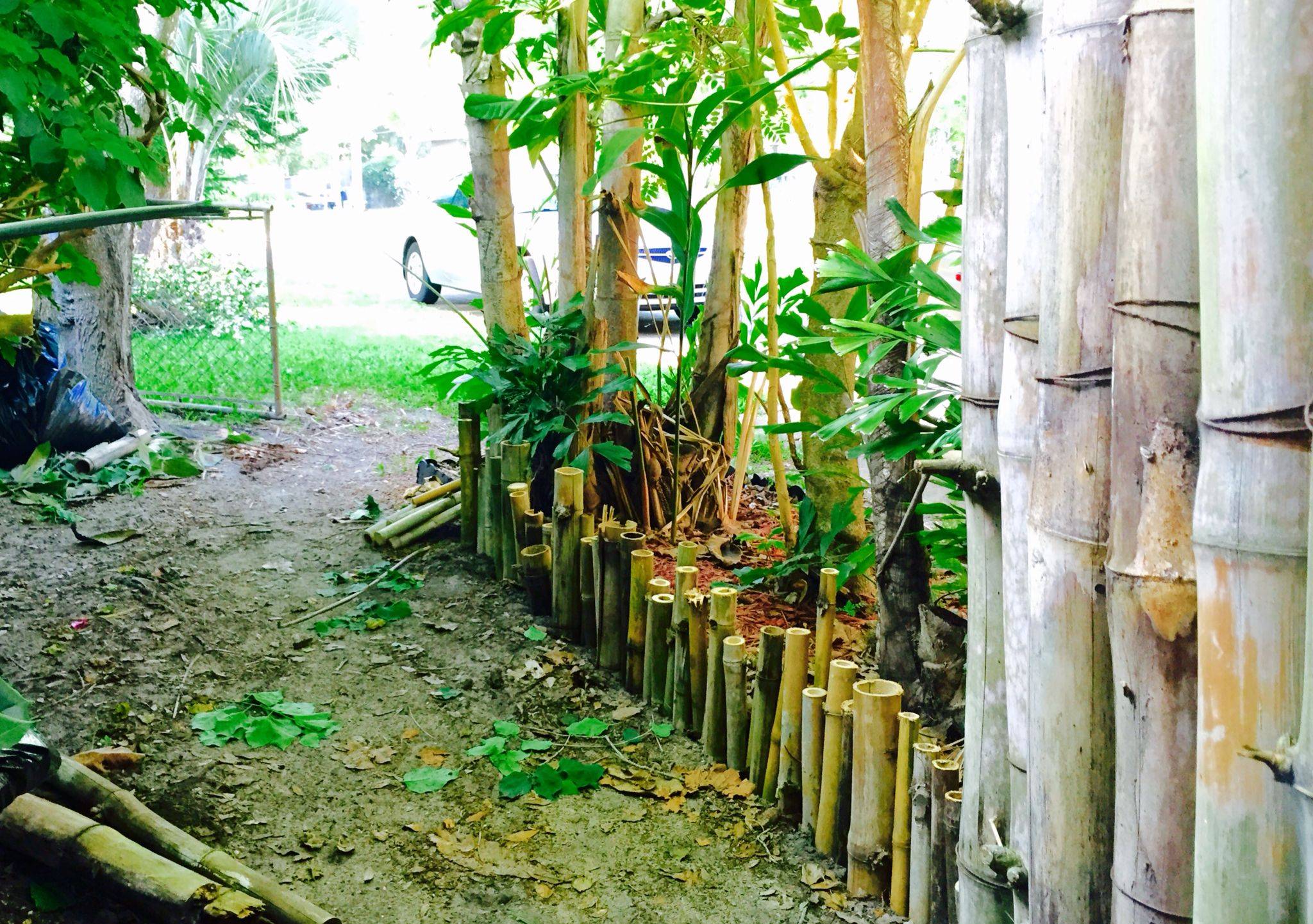 Garden Beds