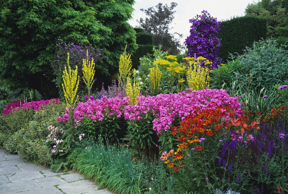 Your Garden Garden Lovers Club