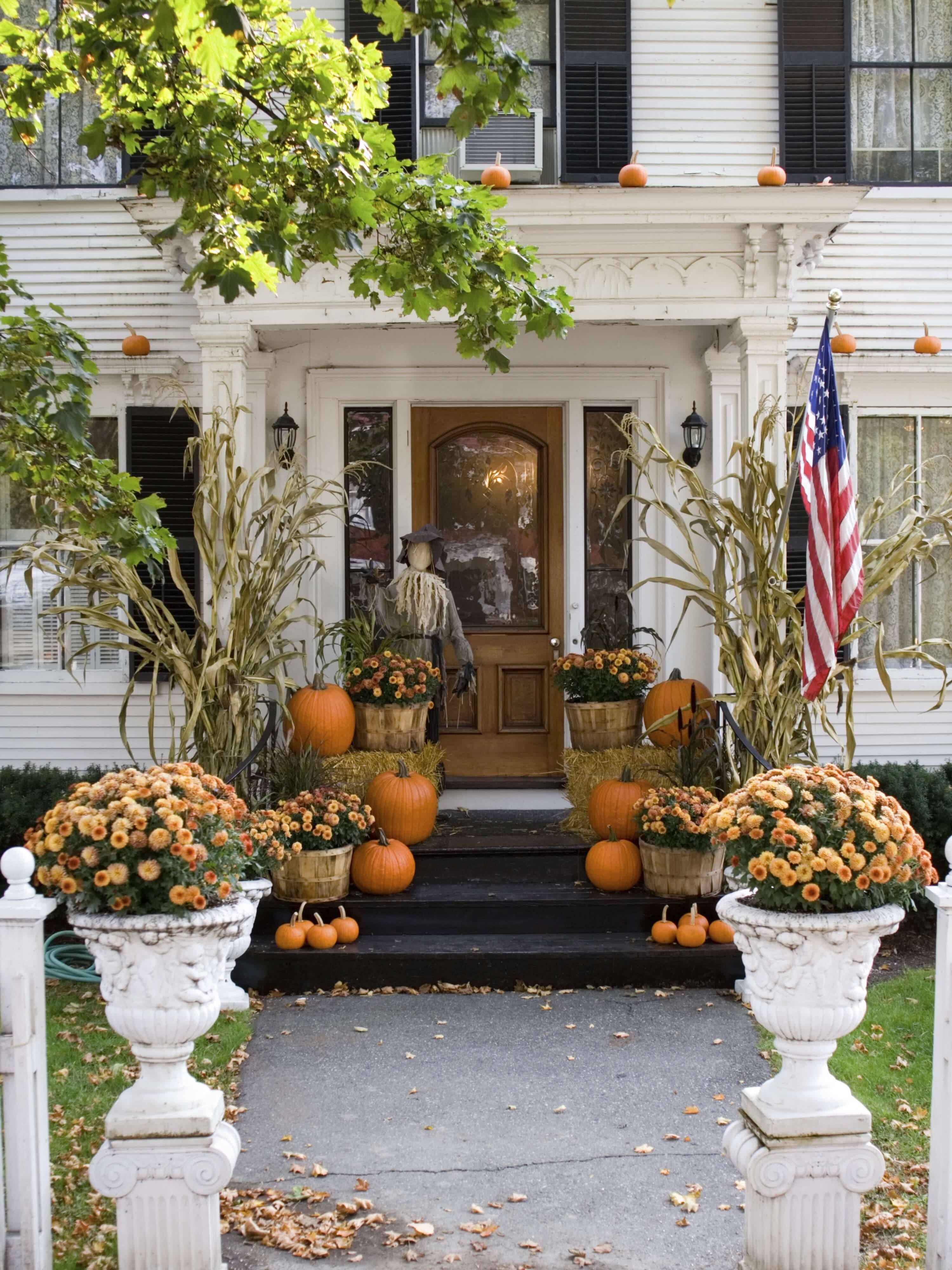 Awesome Halloween Backyard Party Decorations Ideas Magzhouse