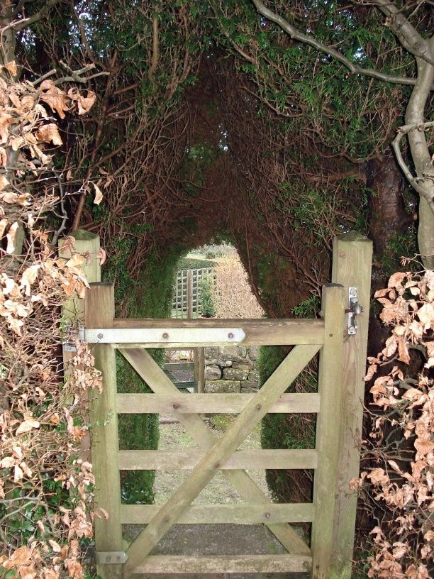 Diy Garden Gates Projects Modern Design Wooden Garden Gate
