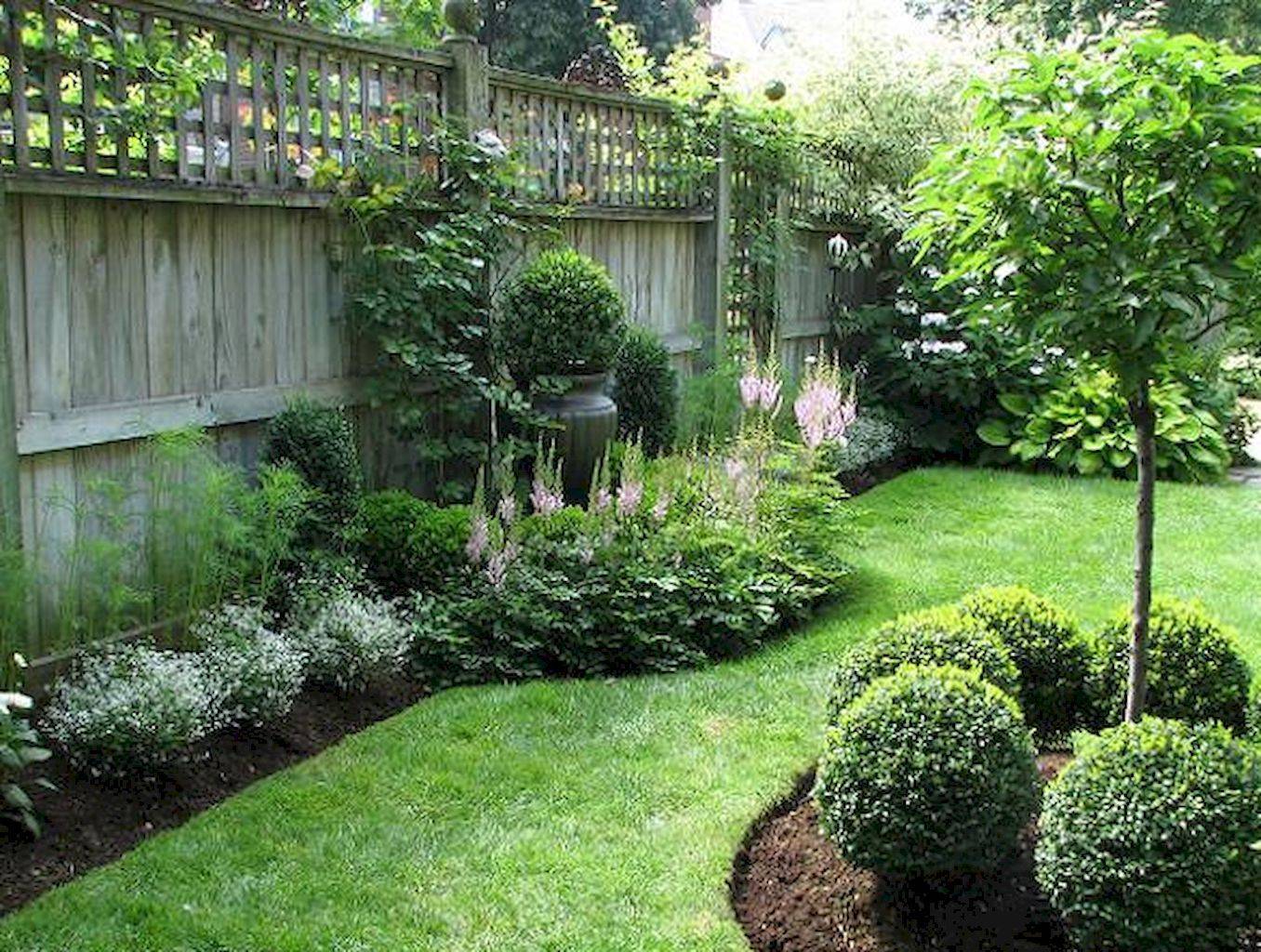 Privacy Landscaping