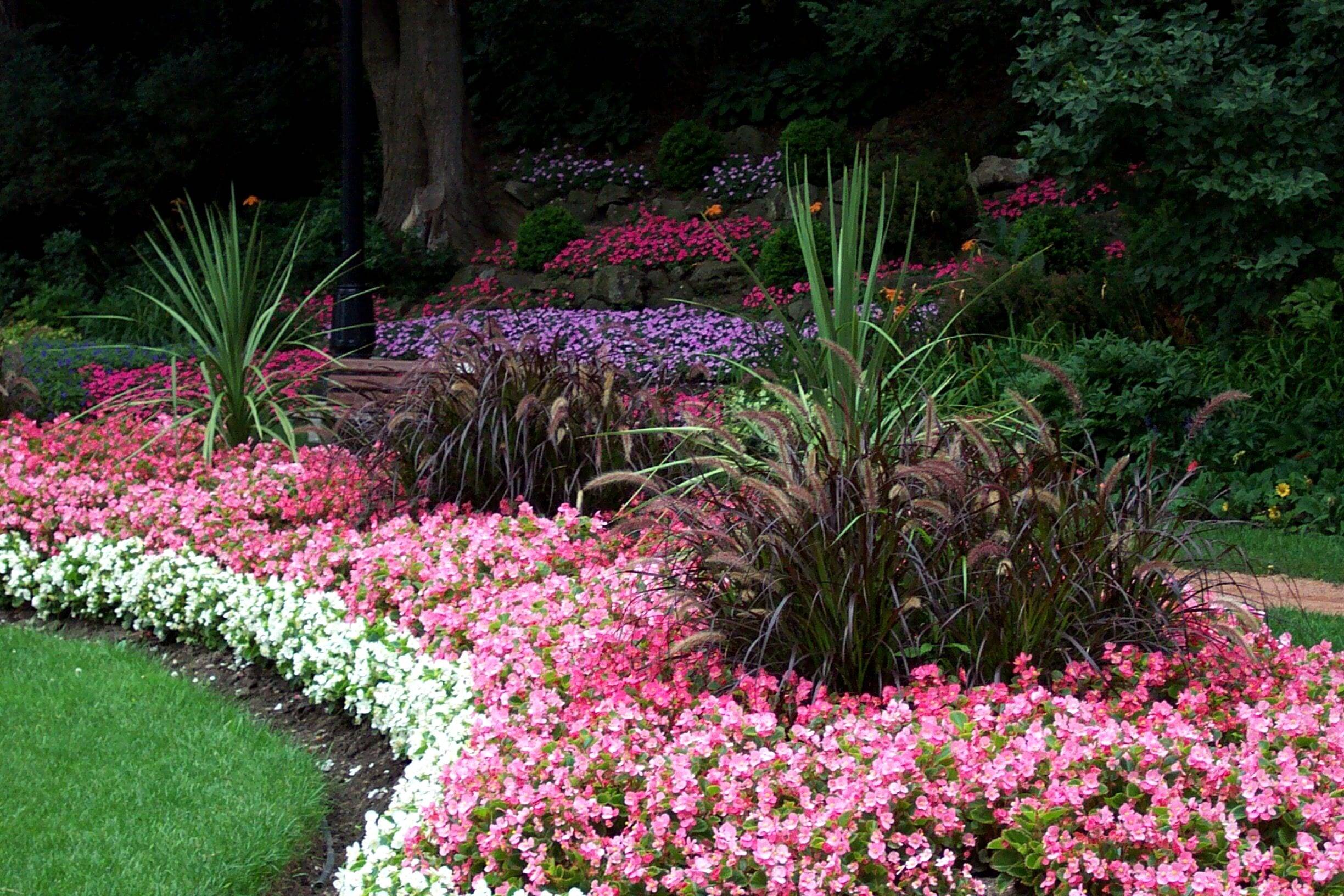 Landscaping Around Trees