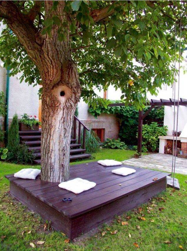 Creative And Inspiring Tree Seats
