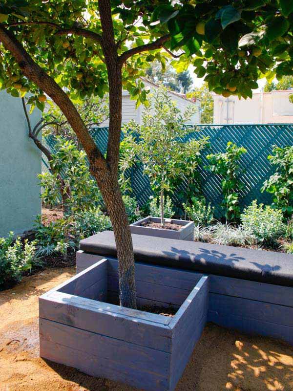Free Pallet Tree Bench