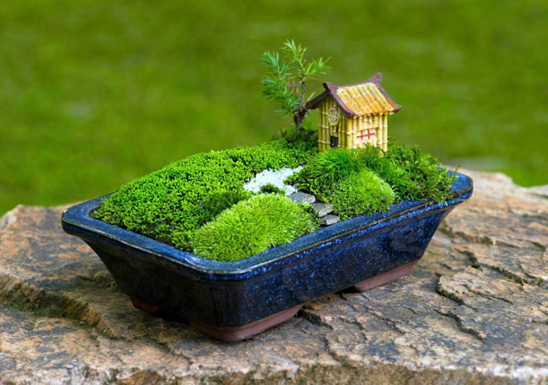 Amazing Minimalist Indoor Zen Garden Design Ideas Mini Garden