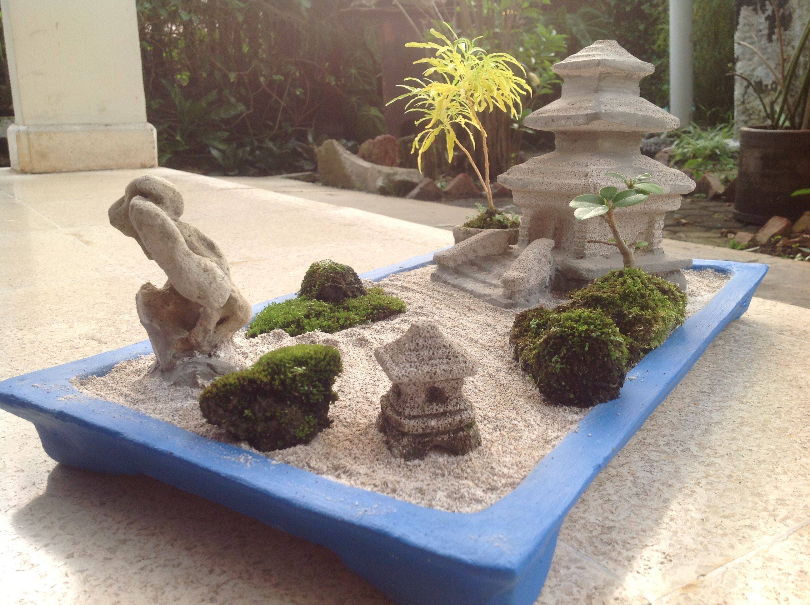 Containernancyw Miniature Garden