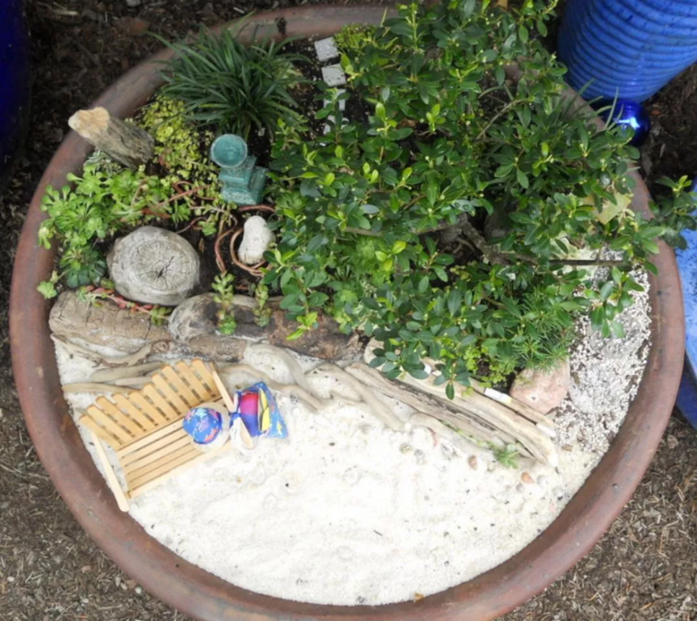 Mini Zen Garden Ideas