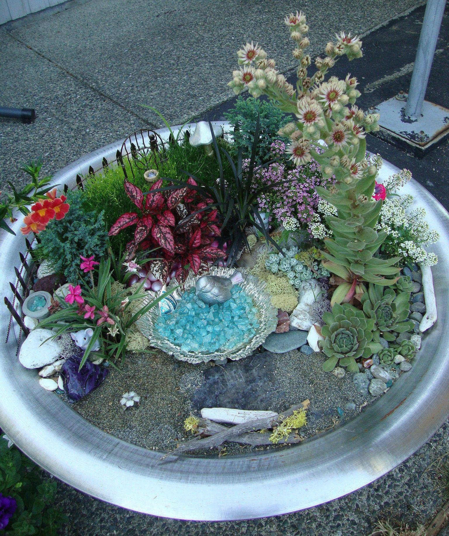 The Cutest Miniature Garden