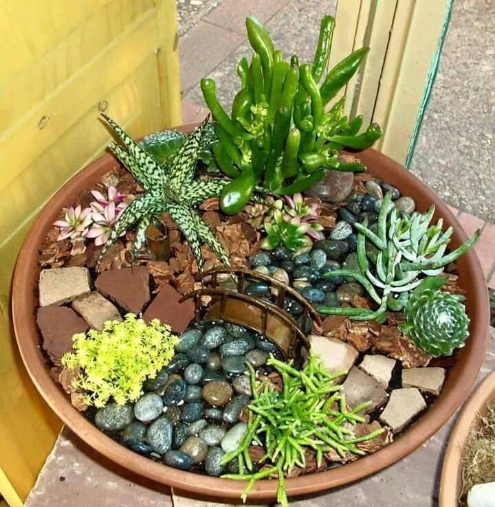 Magical Diy Succulent Fairy Garden Ideas