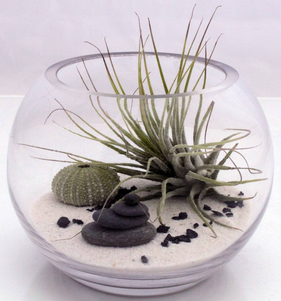 Mini Zen Garden Desktop Zen Garden Kit