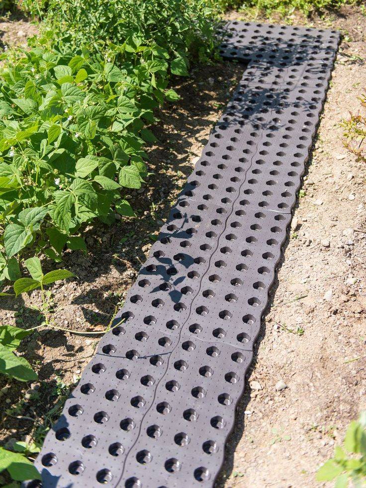 Marvelous Garden Border Ideas