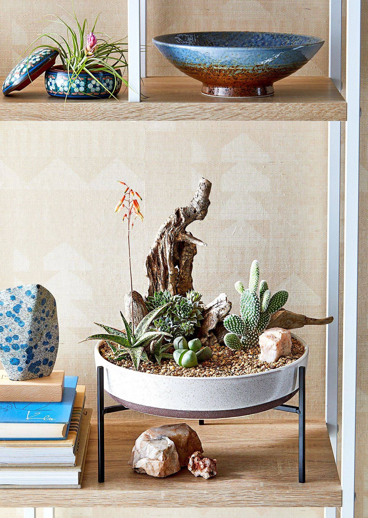 Colorful Succulent Container Garden Ideas