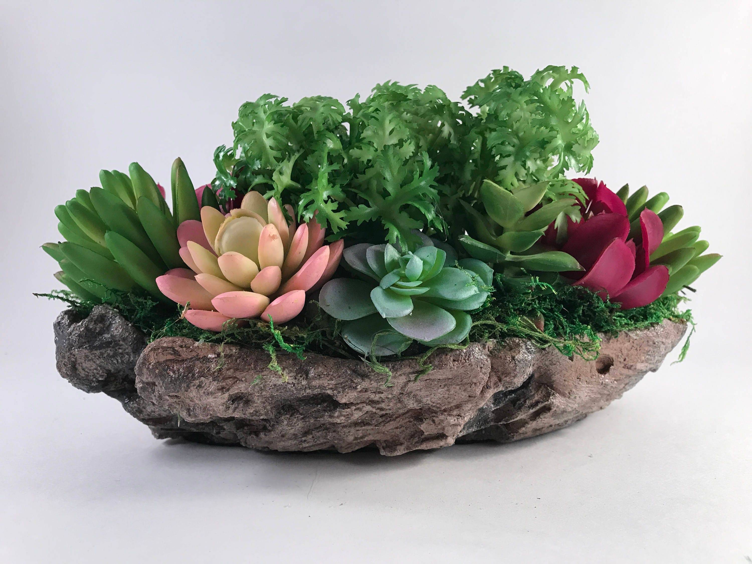 An Indoor Succulent Dish Garden