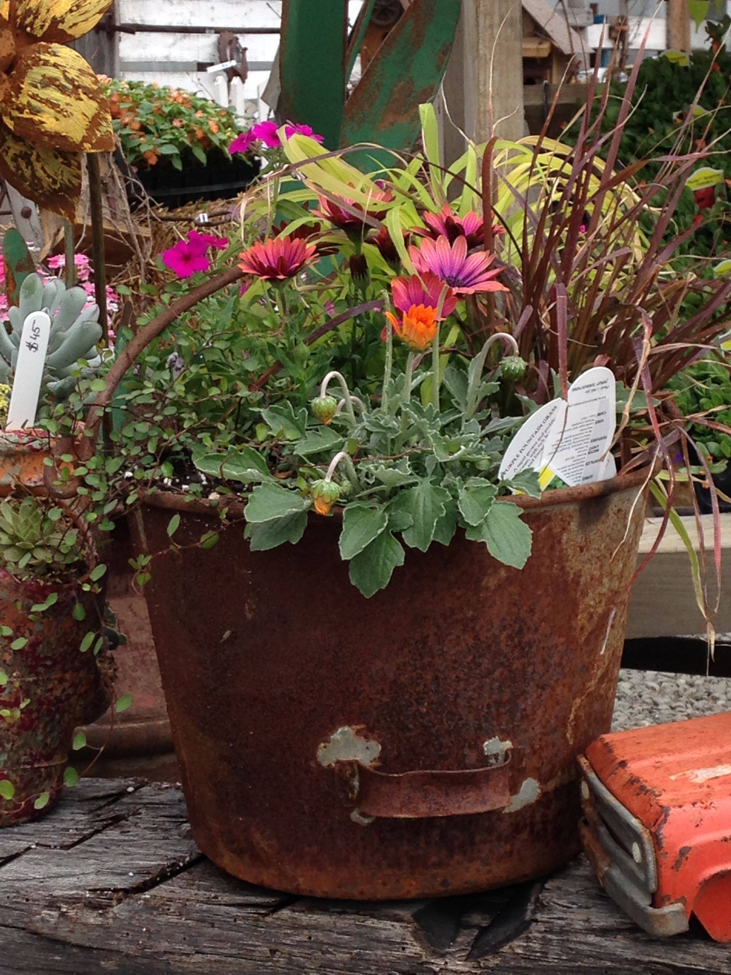 Antique French Garden Planter
