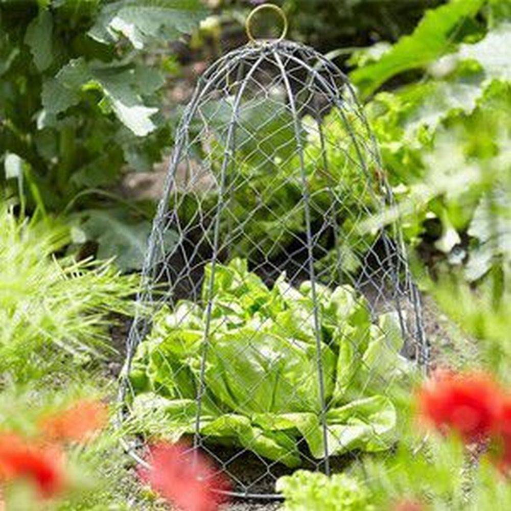 The Incredible And Interesting Garden