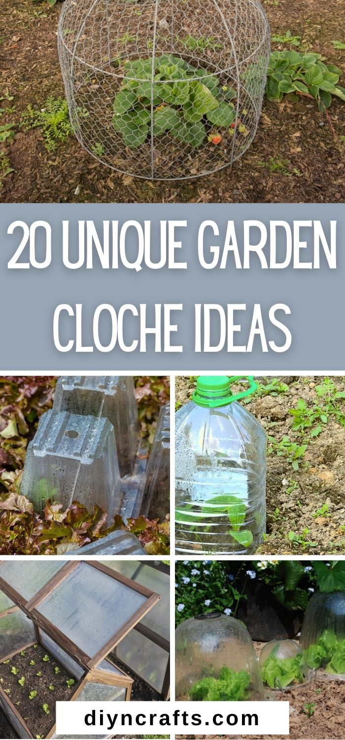 Many Upcycled Ideas