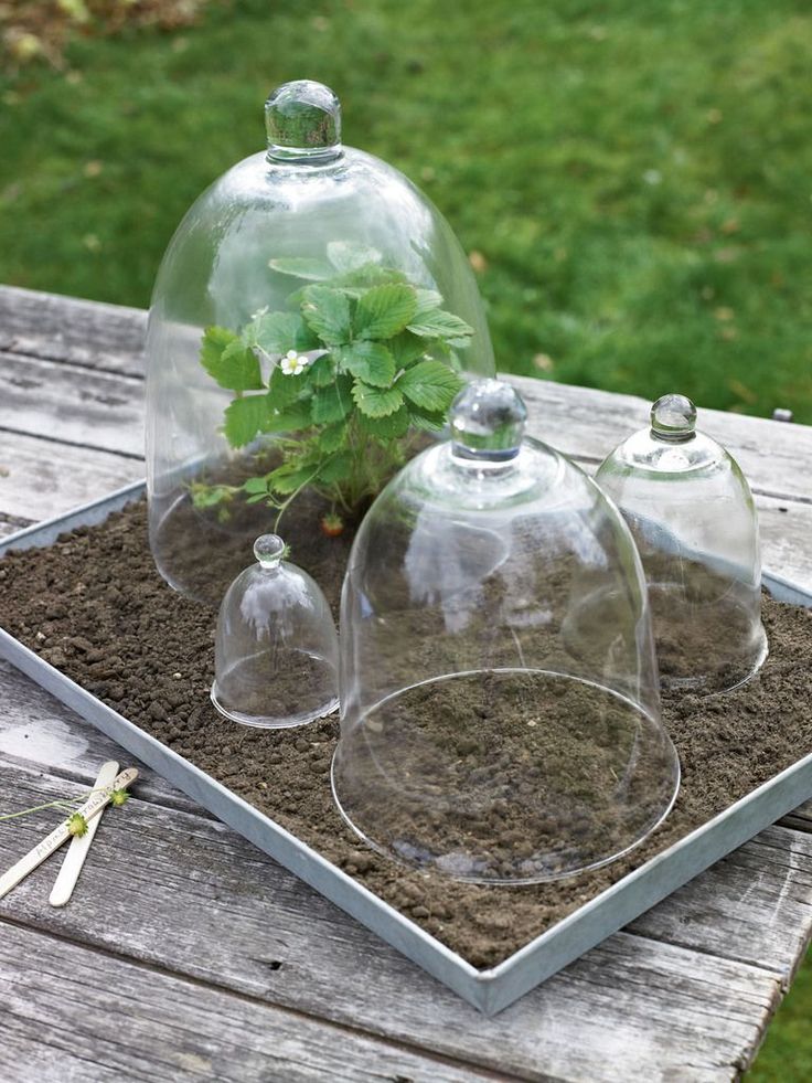 Cold Frames Diy Arts