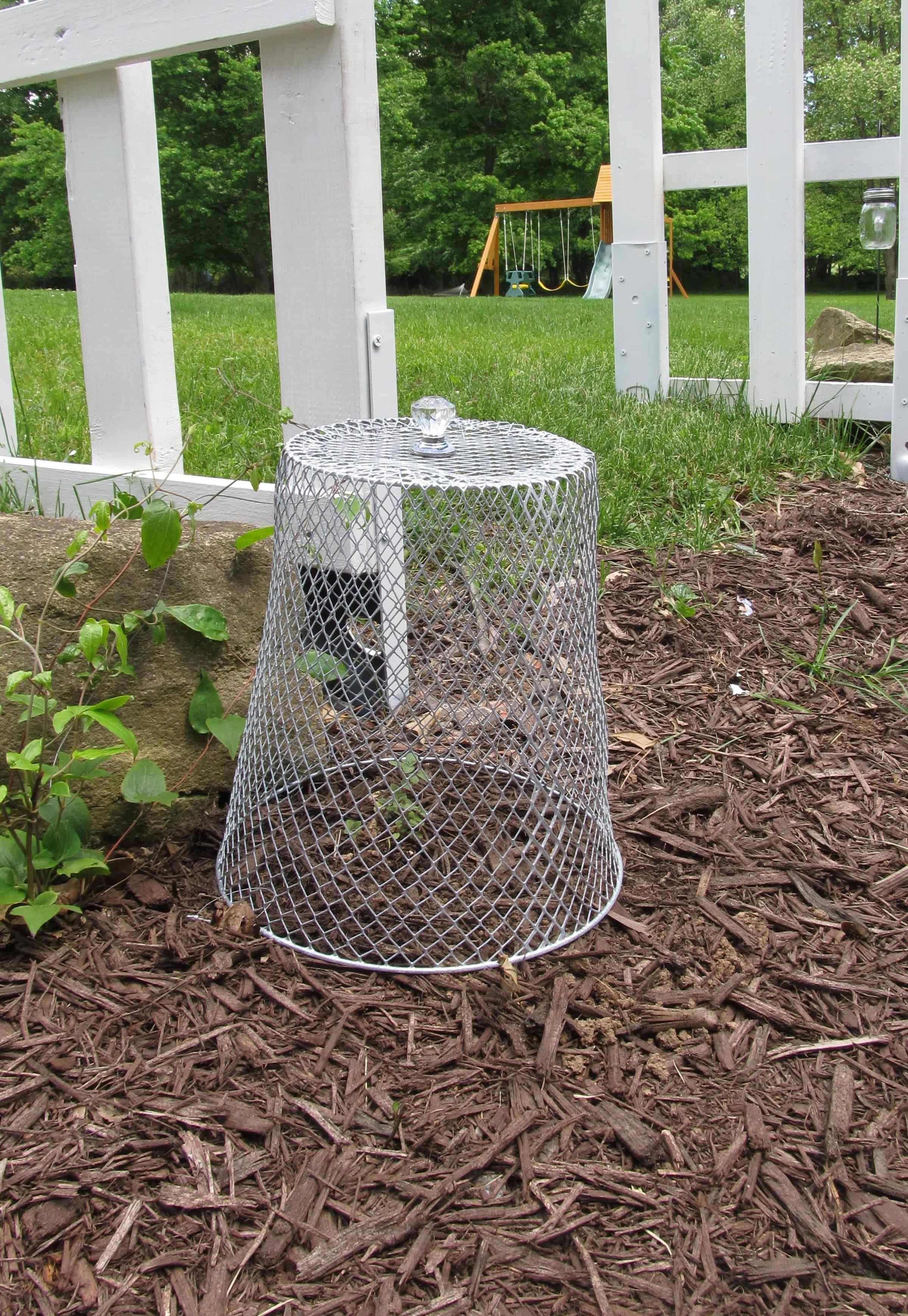 Garden Cloche Dollar Store Diy