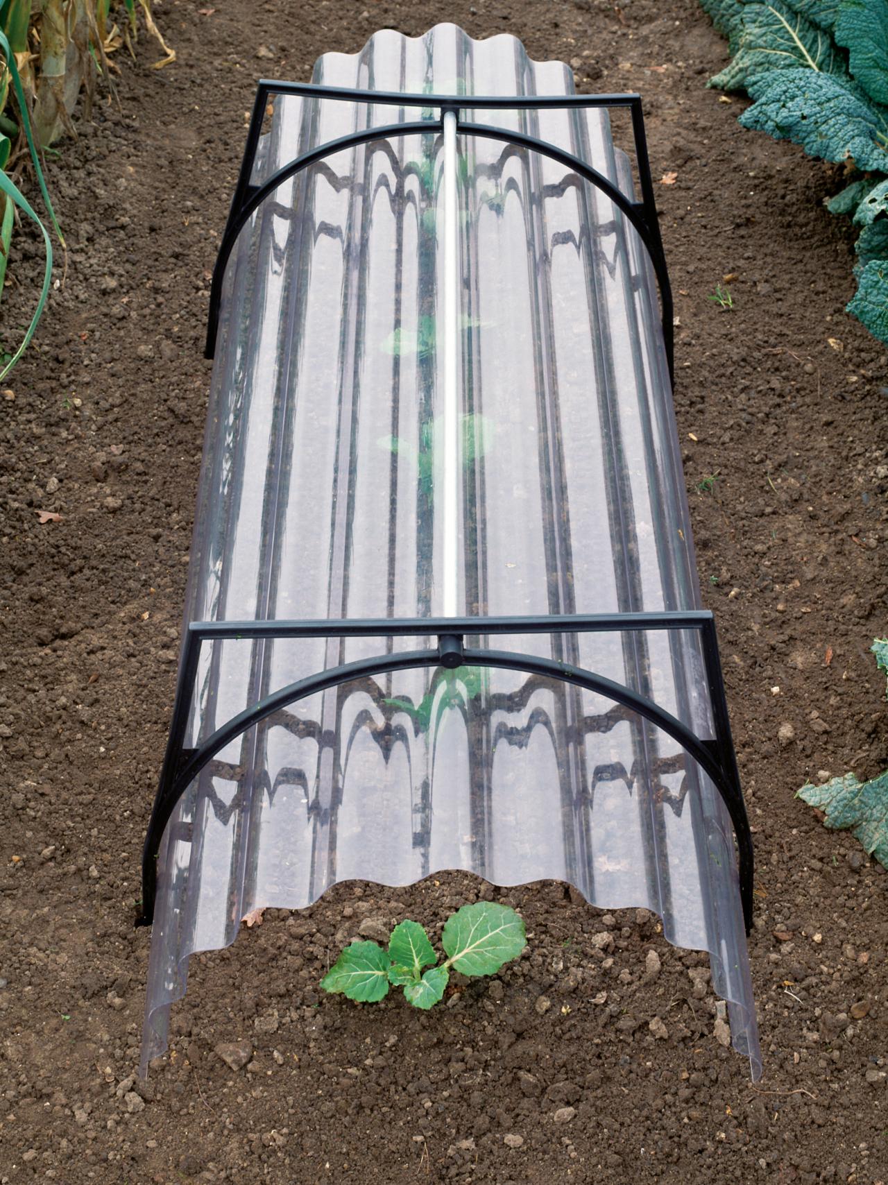 Cloches Gardenista