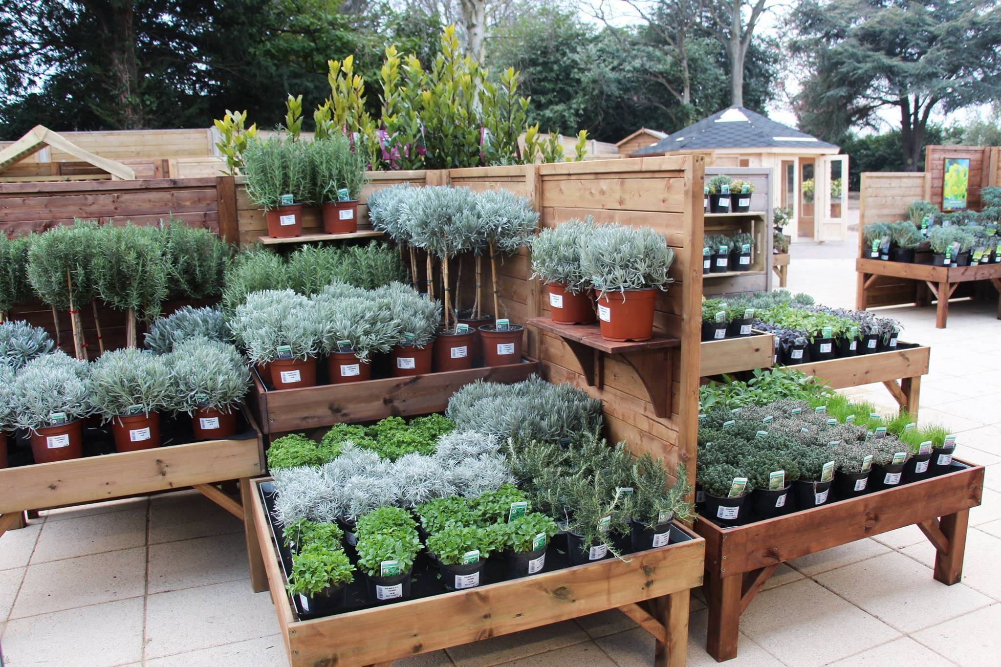 Amazing Outdoor Terracotta Pot Display Ideas
