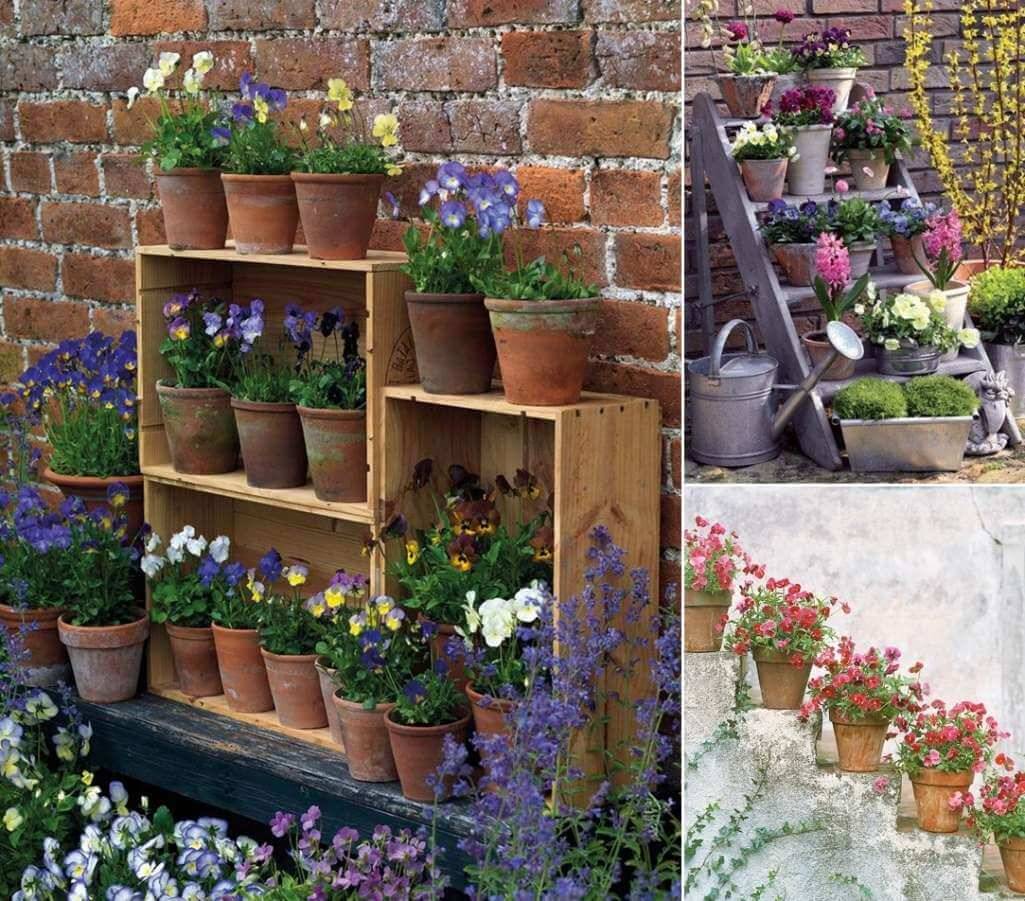 Most Amazing Air Plant Display Ideas