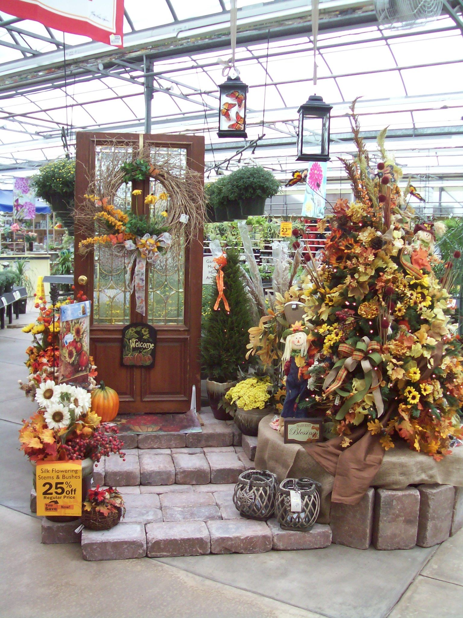 Best Displays Ideas