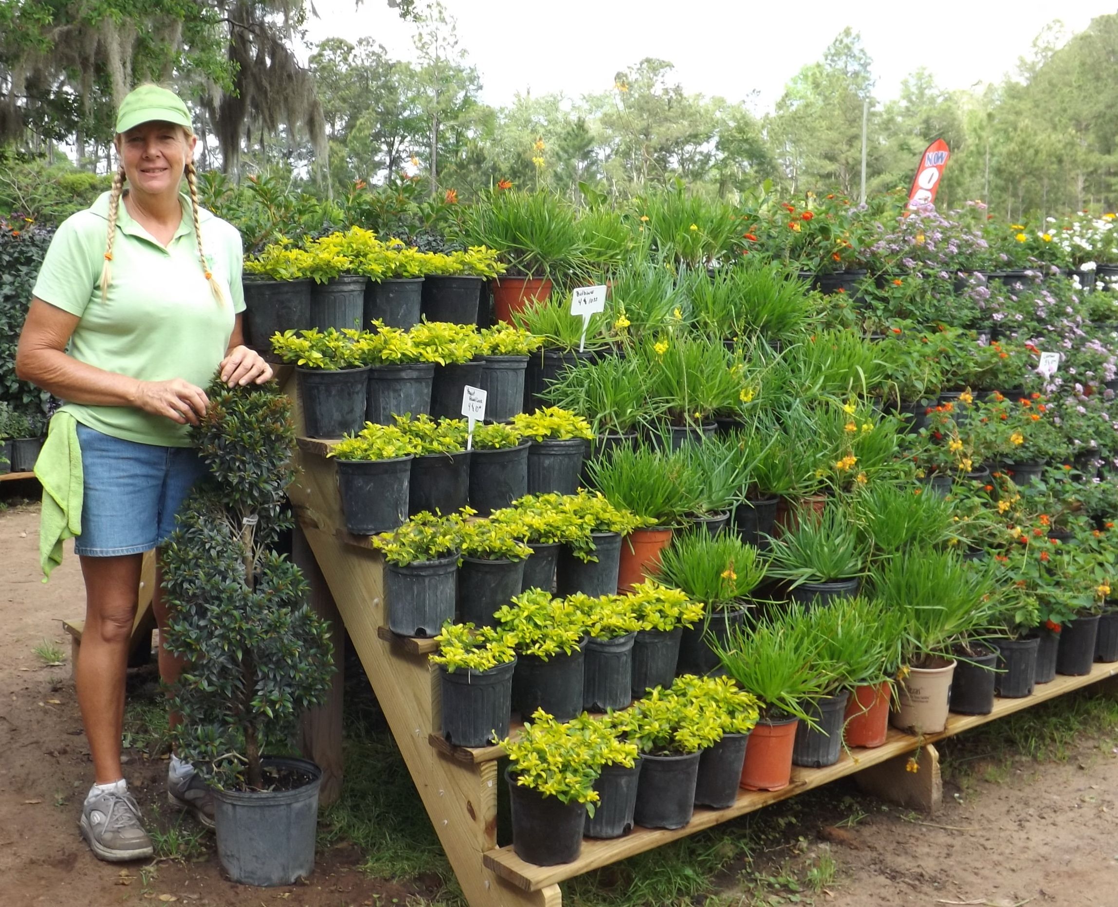 Garden Center Displays
