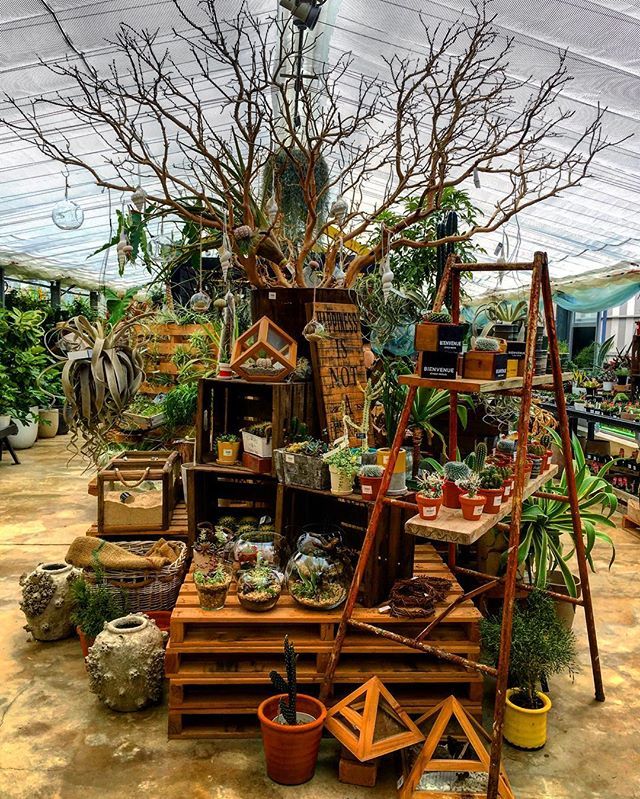 Hillier Garden Centre Autumn Container Displays