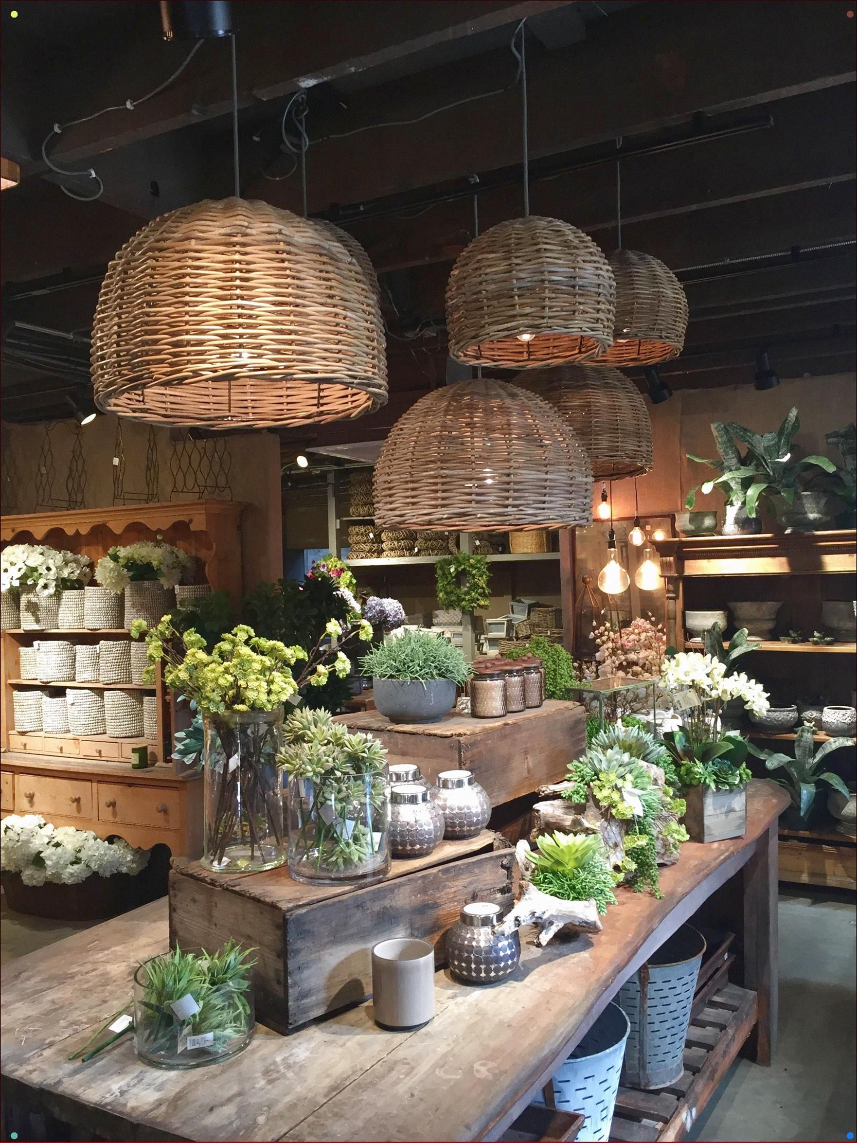 Paradis Express Ailsa In Southland Nursery Garden Center Displays