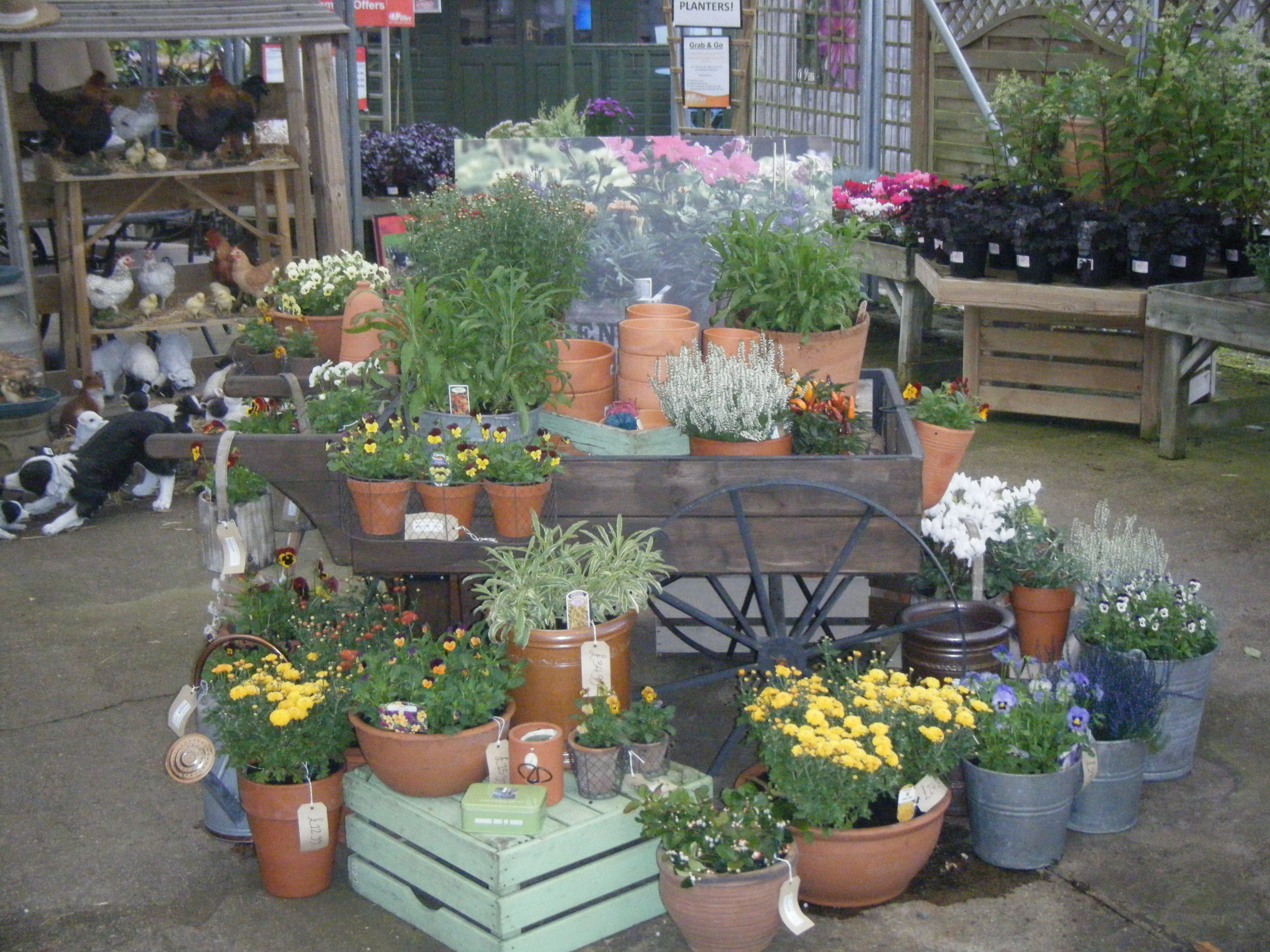 Shop Display Ideas