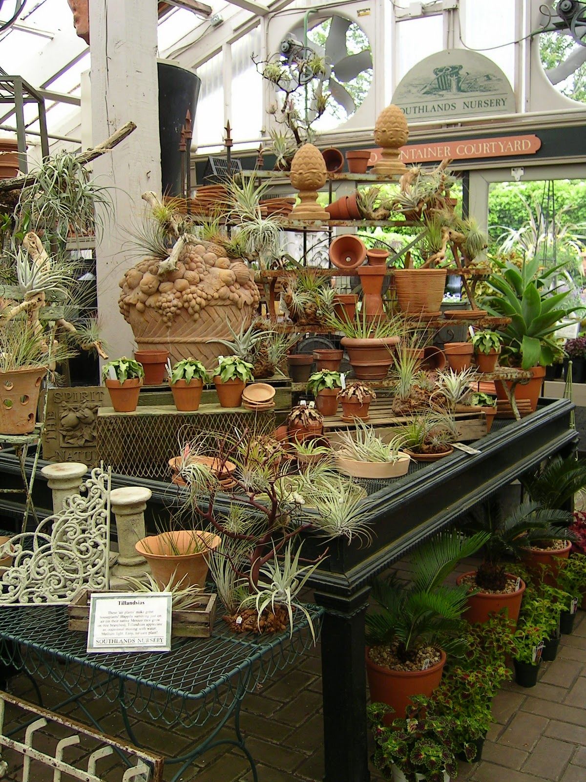 Smart Small Garden Ideas