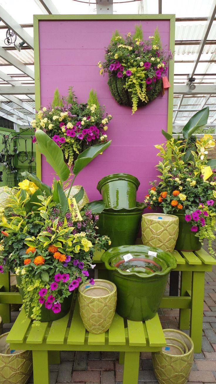 Best Garden Center Ideas Images