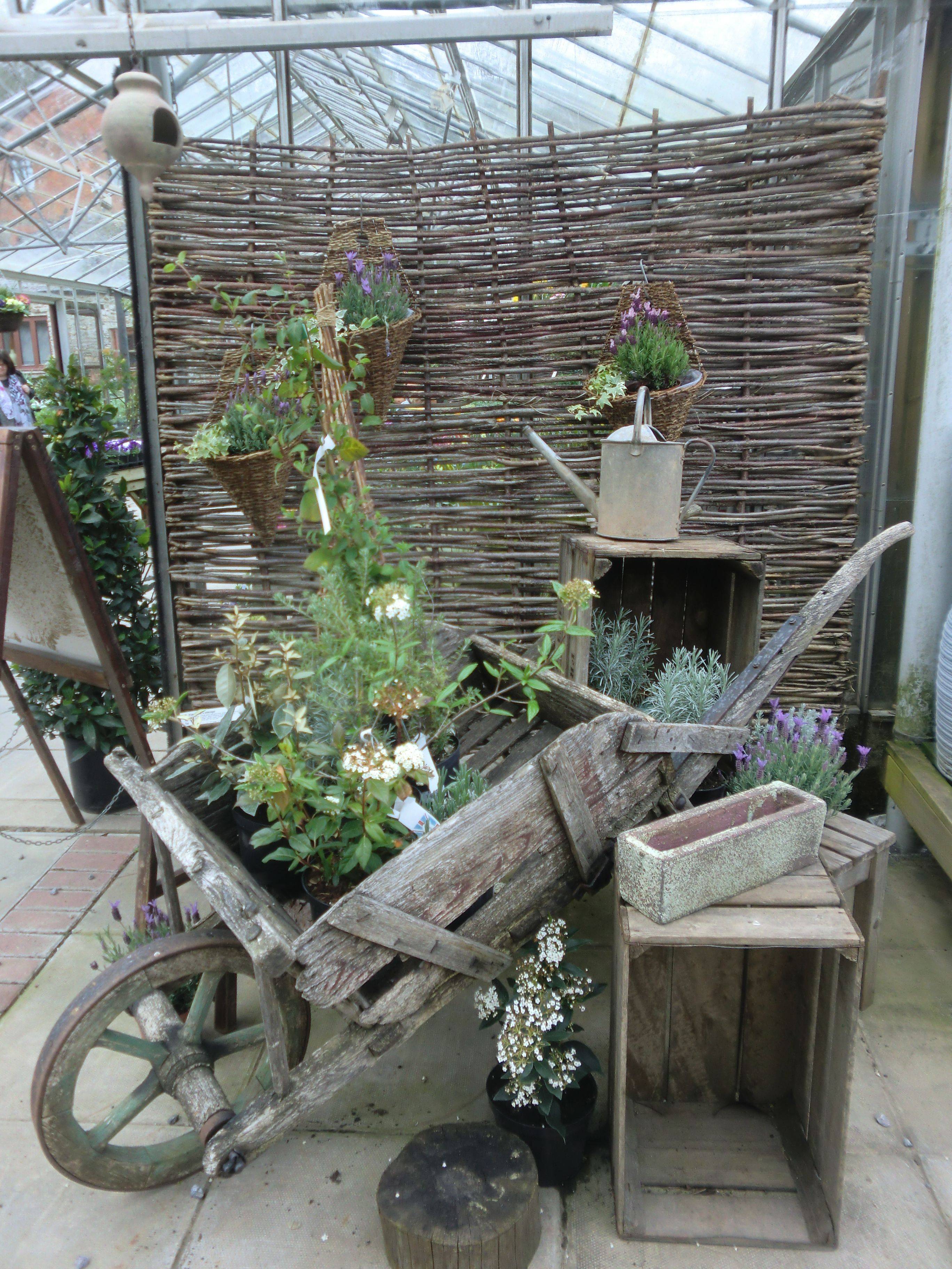 Most Amazing Air Plant Display Ideas