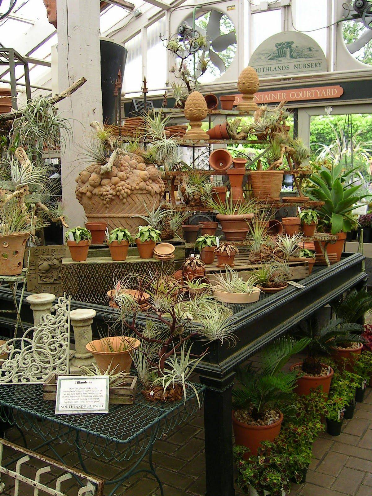 Google Search Garden Center Displays