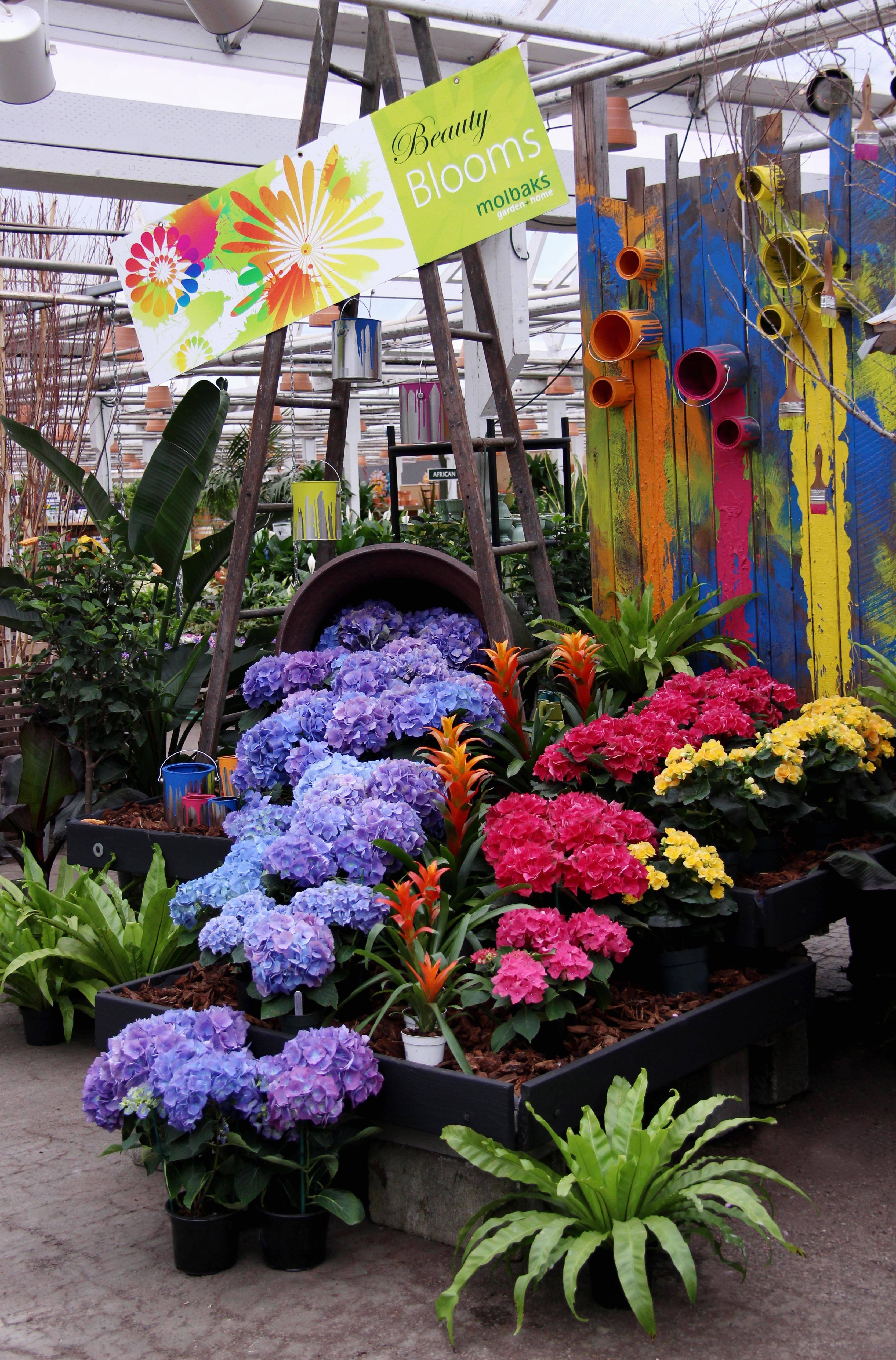 Garden Center Displays