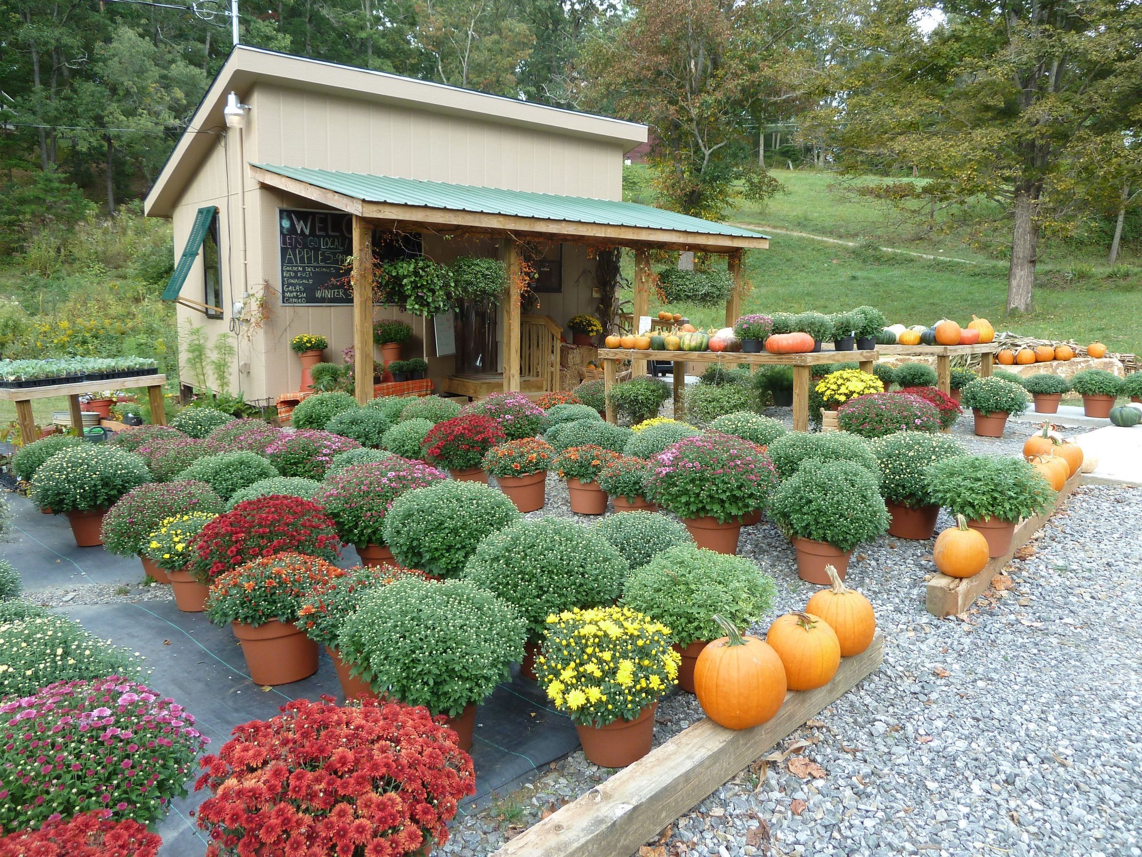 Terrain Garden Center Displays