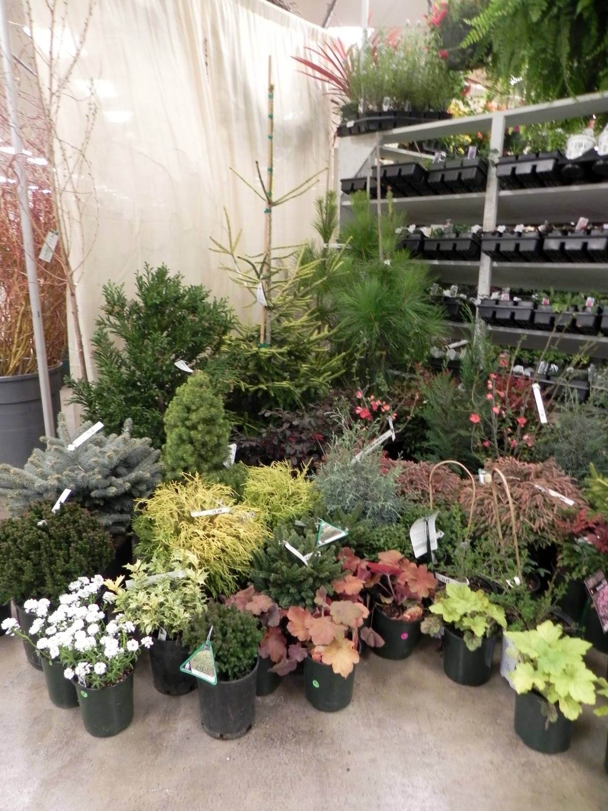 The Latest Gardening Trends