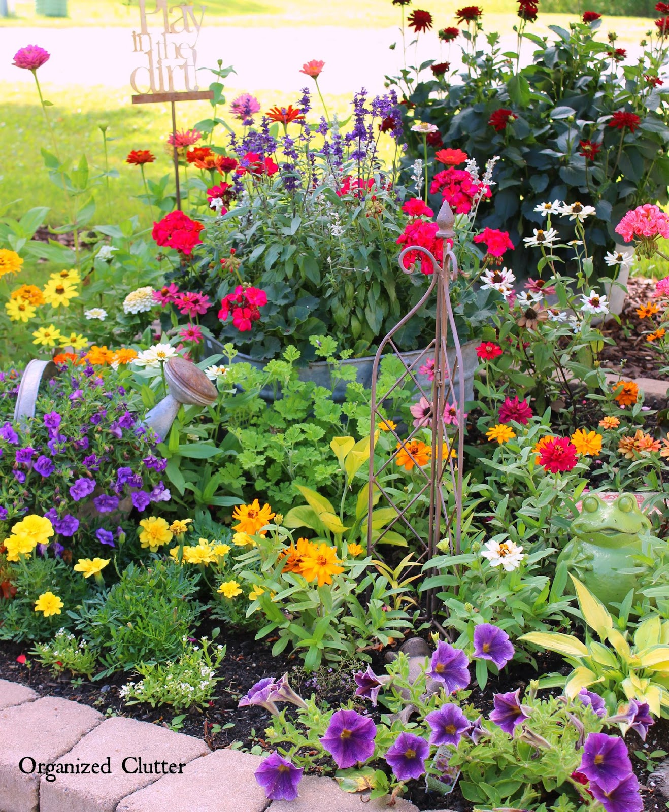 Delicious Annual Border Unique Gardens