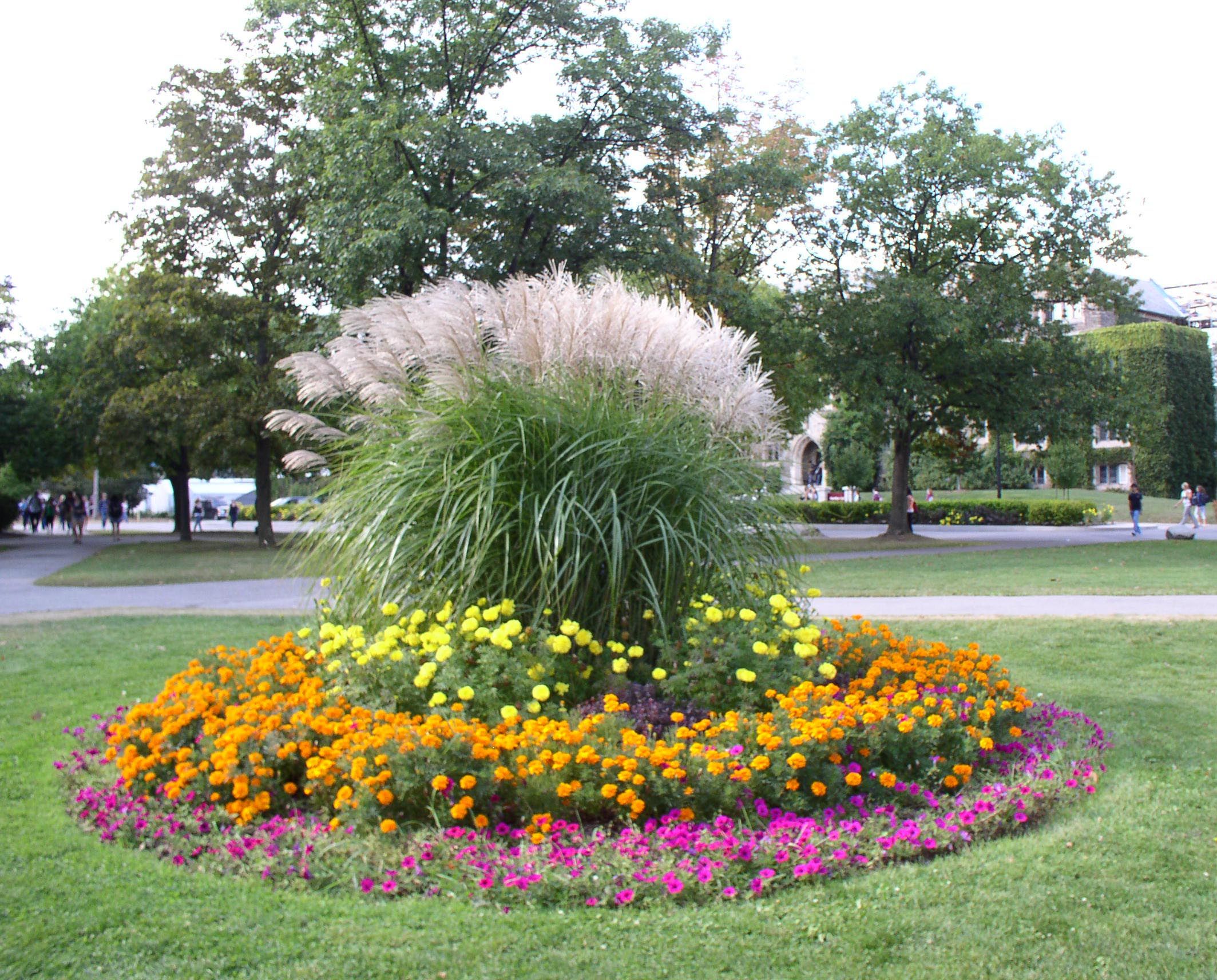 Flowers Garden Tour Organized Clutter