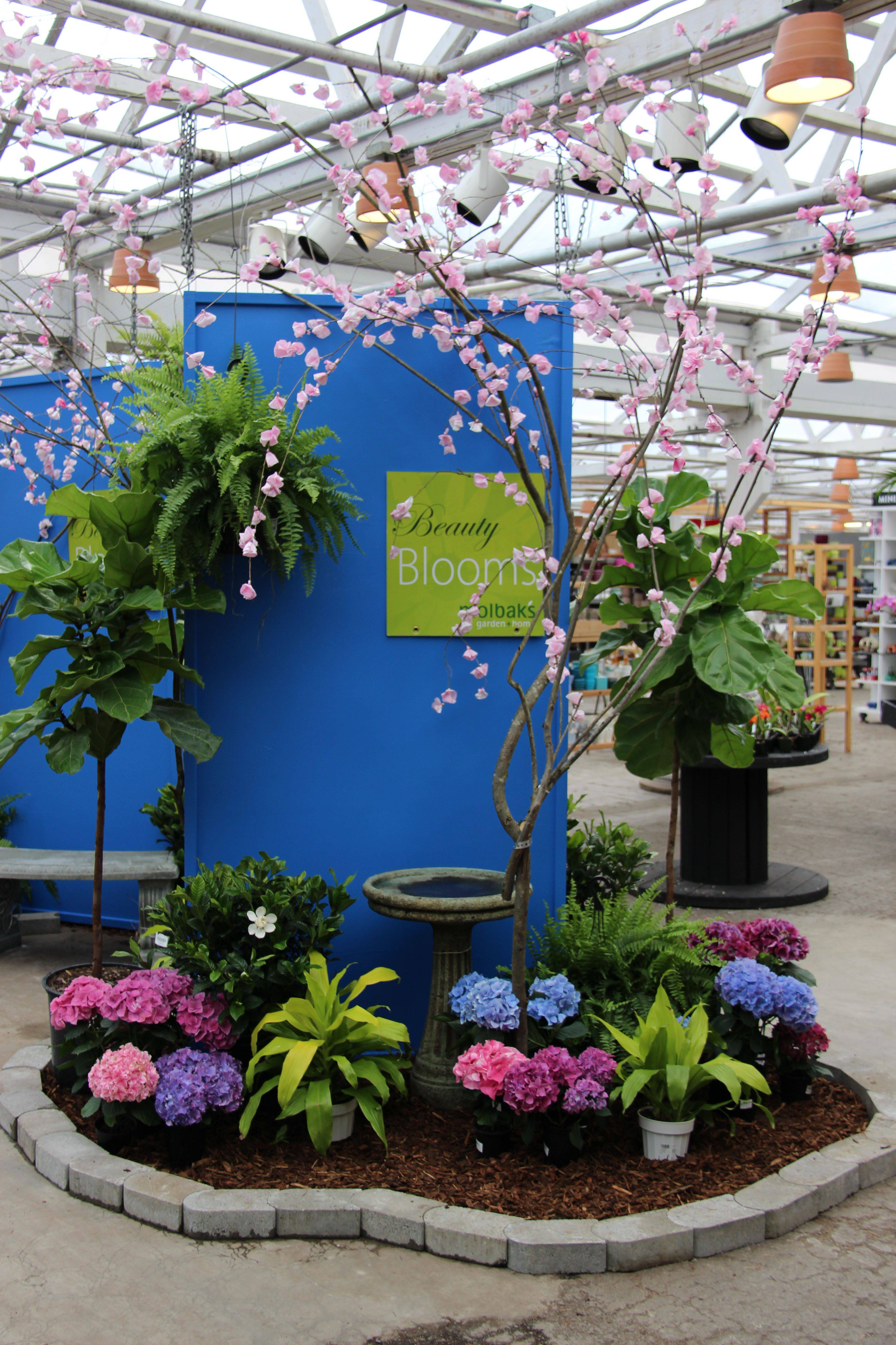 22 Retail Garden Center Displays Ideas You Must Look SharonSable