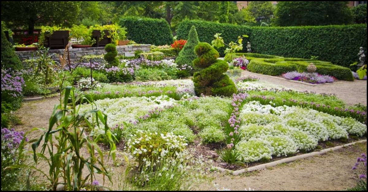 French Garden Design Front Yard Fountain Ideas