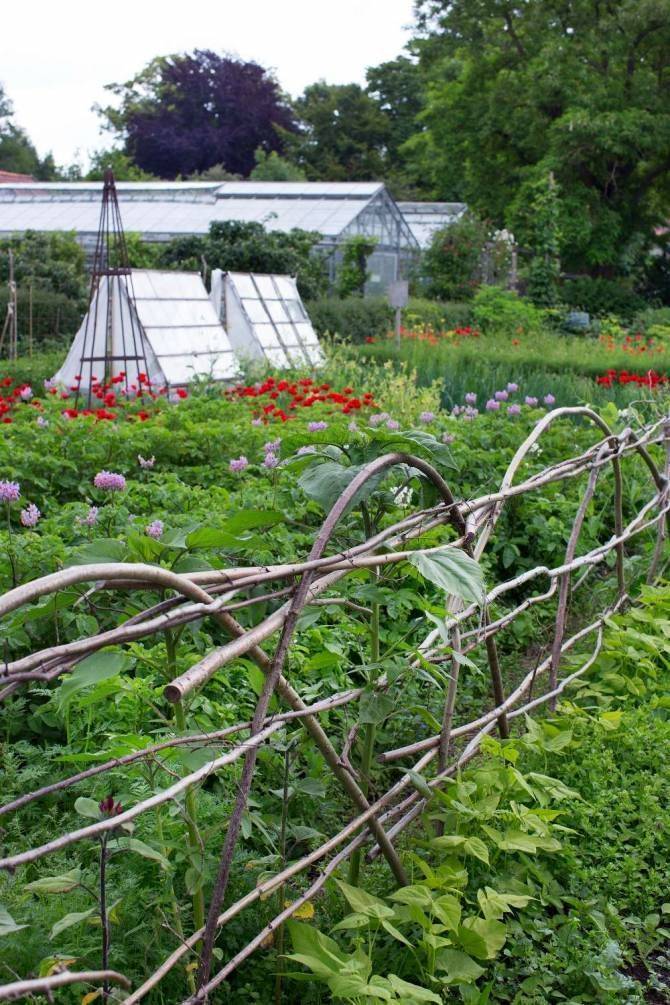 Wire Garden Fencing Ideas