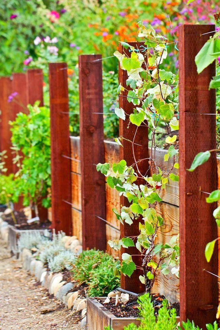 Wire Garden Fencing Ideas