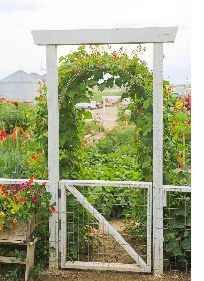Easy And Aesthetically Appealing Garden Fence Ideas