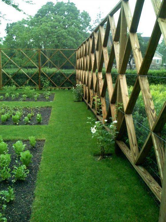 Vegetable Garden Fence Chicken Wire Interior